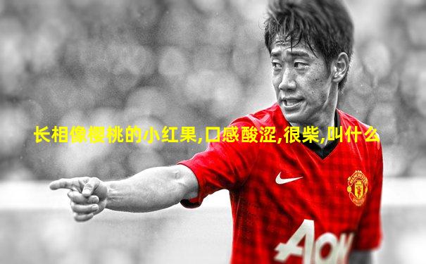 长相像樱桃的小红果,口感酸涩,很柴,叫什么