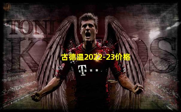 古德温2022-23价格