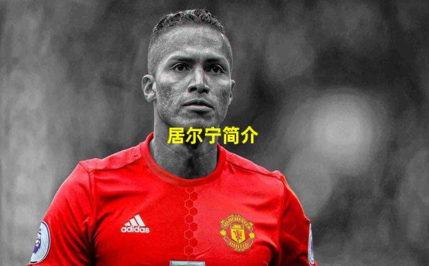 居尔宁简介