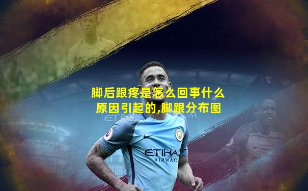 脚后跟疼是怎么回事什么原因引起的,脚跟分布图