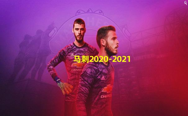 马刺2020-2021